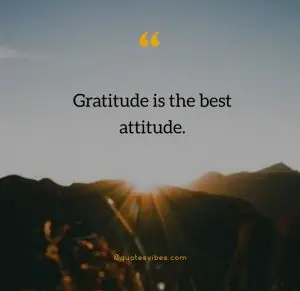 Attitude Of Gratitude Quotes