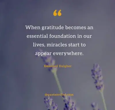 Gratitude Quotes Pictures