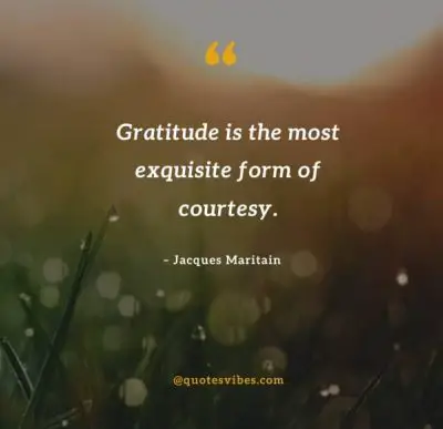 Quotes About Gratitude