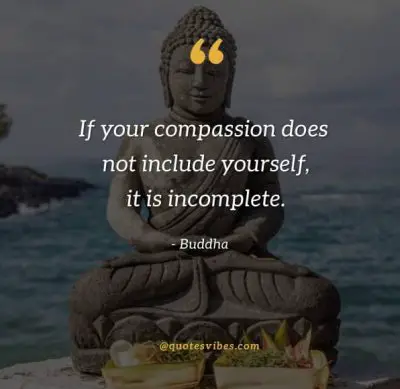 Buddha Quotes Compassion