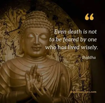 Buddha Quotes Death