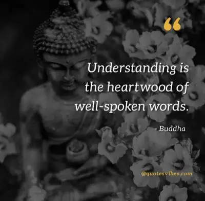 Buddha Quotes Images