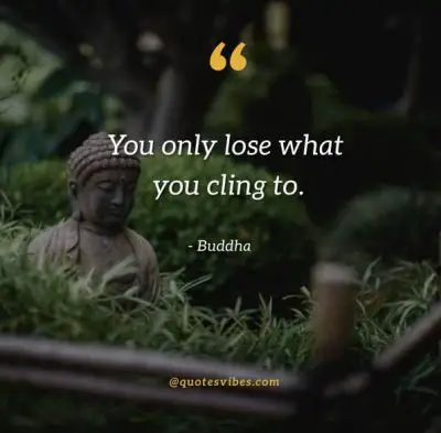 Buddha Quotes Pics
