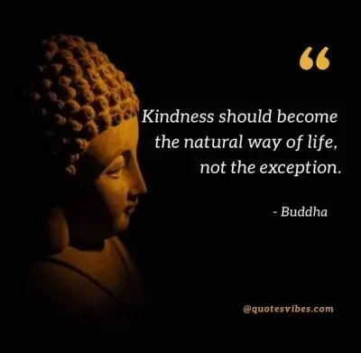 Buddha Sayings