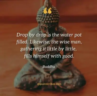 Buddha Wise Words of Wisdom