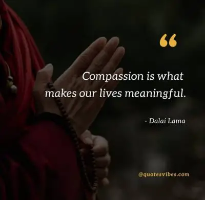 Dalai Lama Quotes On Compassion