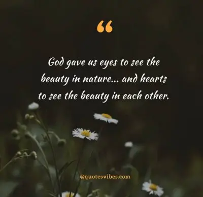 God's Beauty Quotes Pictures