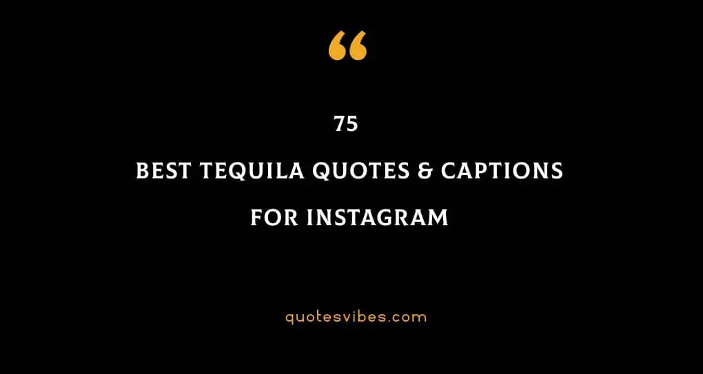 75 Best Tequila Quotes & Captions For Instagram